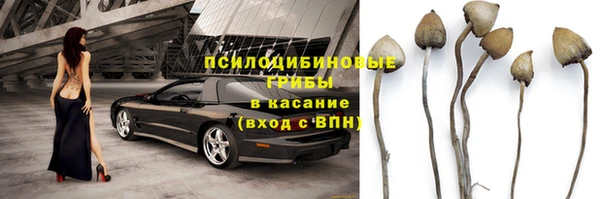 эйфоретик Кинешма