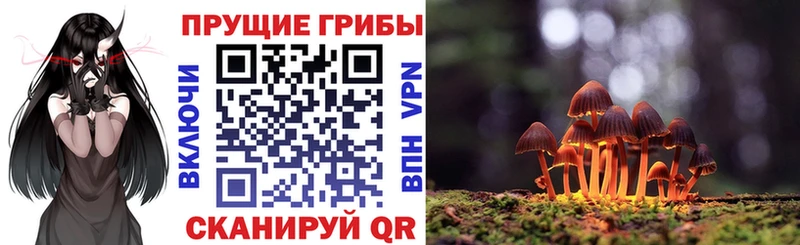 Псилоцибиновые грибы MAGIC MUSHROOMS  Купить закладки  Грязовец 