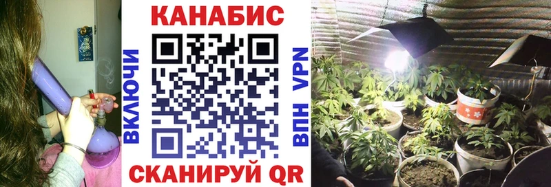 МАРИХУАНА Bruce Banner  Купить закладки  Грязовец 